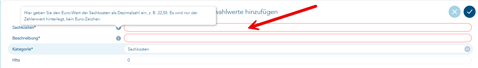 Bild mit Pfeil auf die Sachkosteneingabezeile