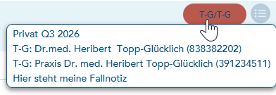 Anzeige Falldaten in der Karteizeile