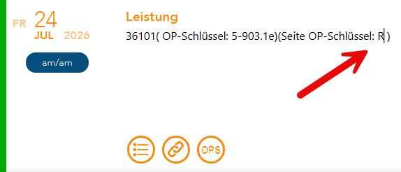 Anzeige der Seitenlokalisation nach Übernahme in der Leistungszeile