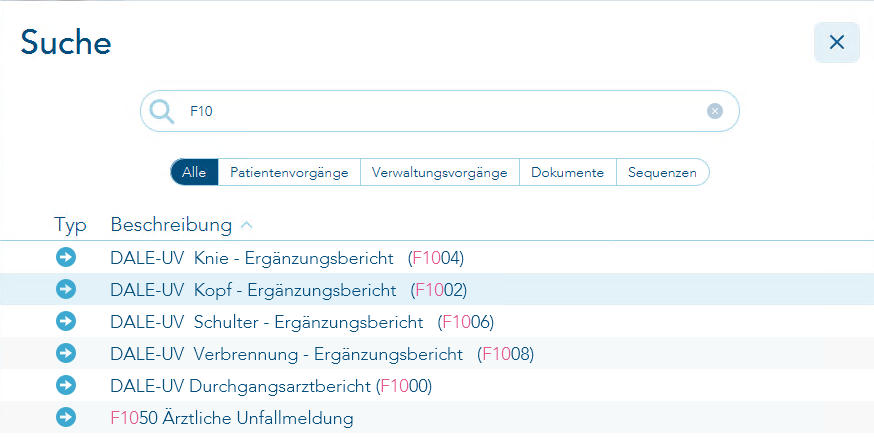 Das Bild zeigt die Suche der BG-Berichte über Strg+Leertaste und Eingabe von F10