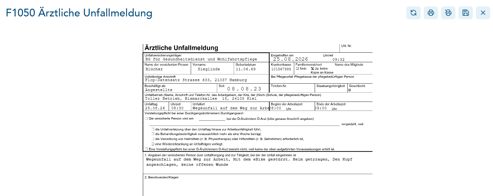 Das Bild zeigt den geöffneten und vorausgefüllten Unfallbericht F1050