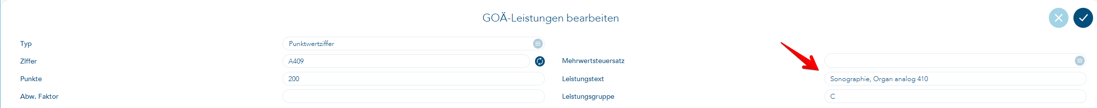 Analogziffer Beispiel Leistungstexteingabe