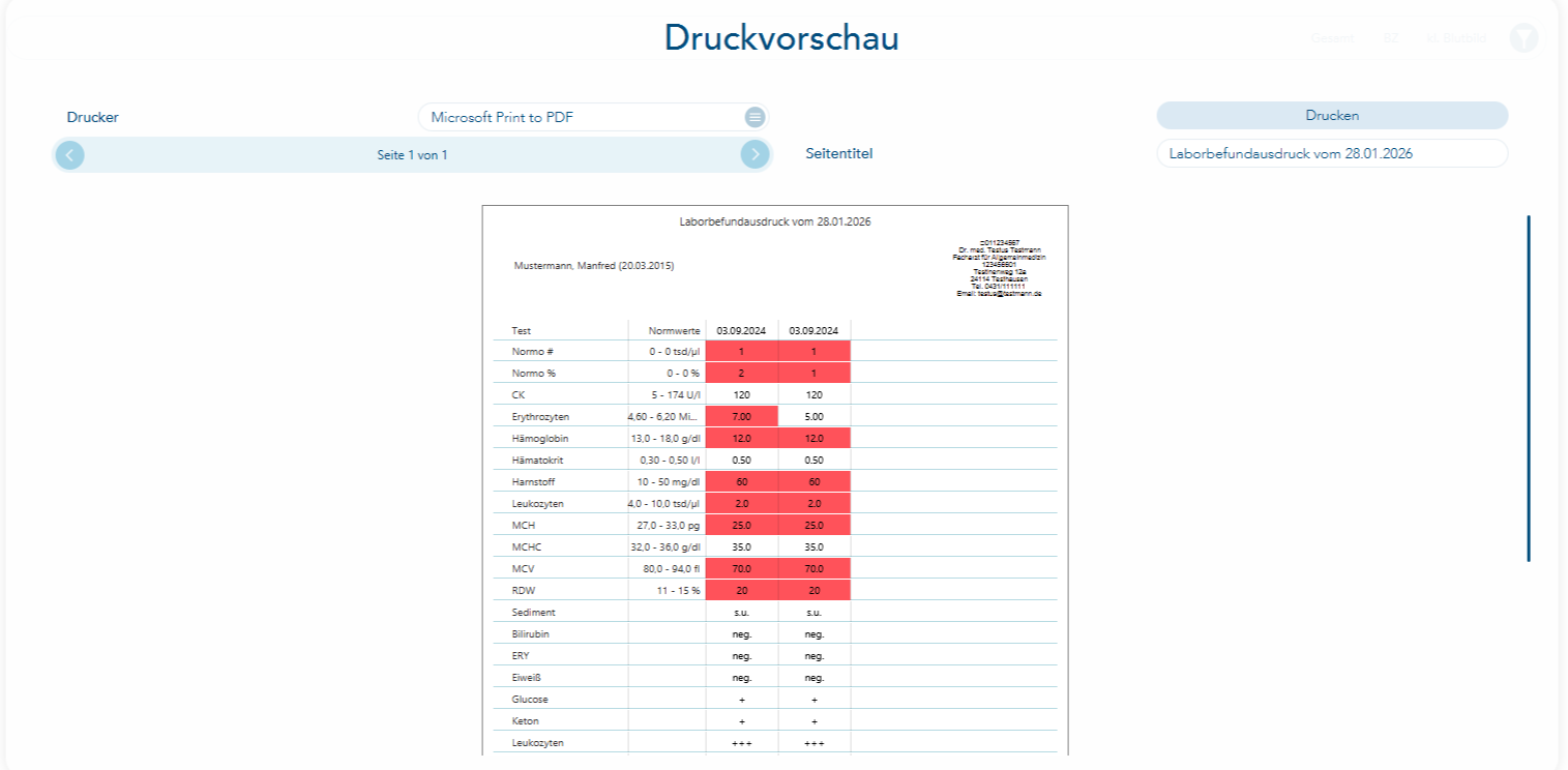 Druckvorschau Laborblatt