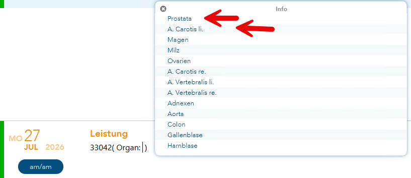 Ansicht der Liste der Organe in der Ziffernzusatzliste der Organe gemäß Anzahlsortierung nach Hits