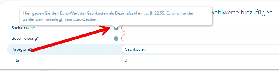 Hinweis auf Eintrag der Sachkosten in Euro mit Pfeil auf das kleine i mit weiteren Informationen
