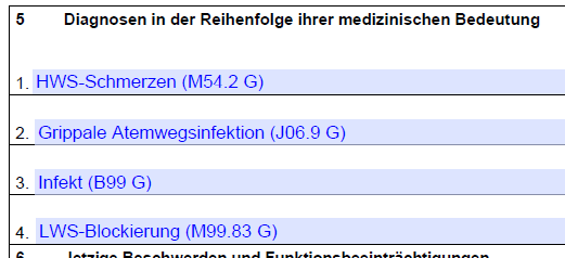 Diagnosen in der Reihenfolge ihrer medizinischen Bedeutung ausgefüllt